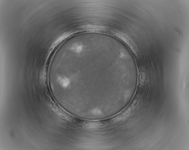 X0000112011074200908241449