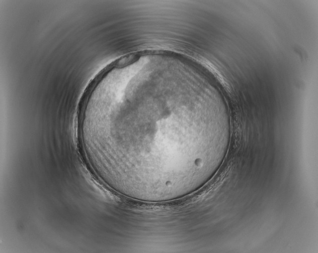 X0000112011076200908241449