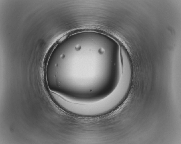 X0000112011077200908241449