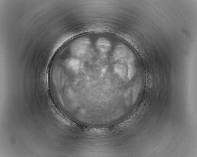 X0000112011078200908241449