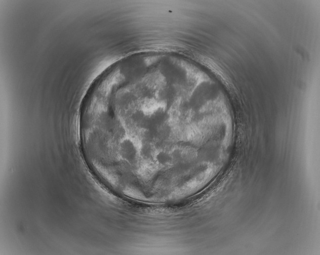 X0000112011079200908241449