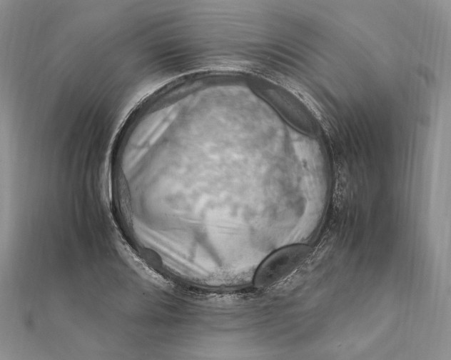 X0000112011080200908241449