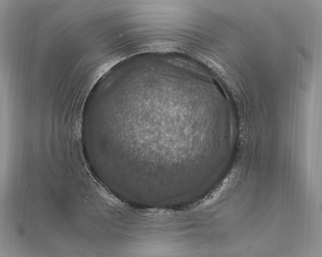 X0000112011081200908241449