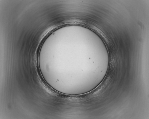 X0000112011082200908241449