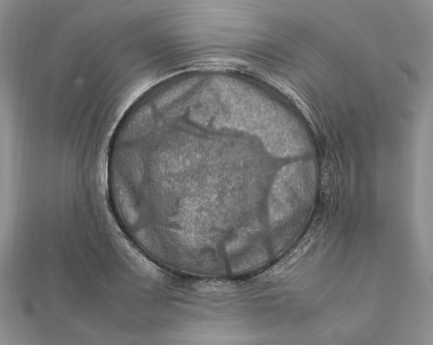 X0000112011083200908241449