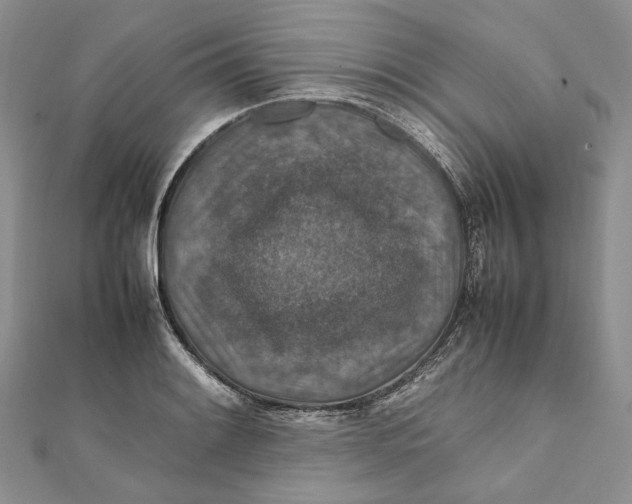 X0000112011084200908241449