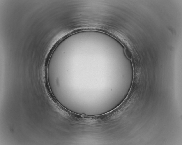 X0000112011085200908241449