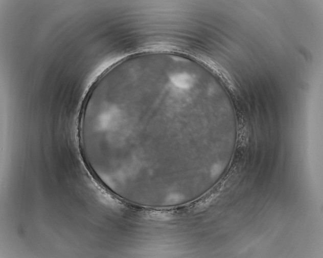 X0000112011086200908241449