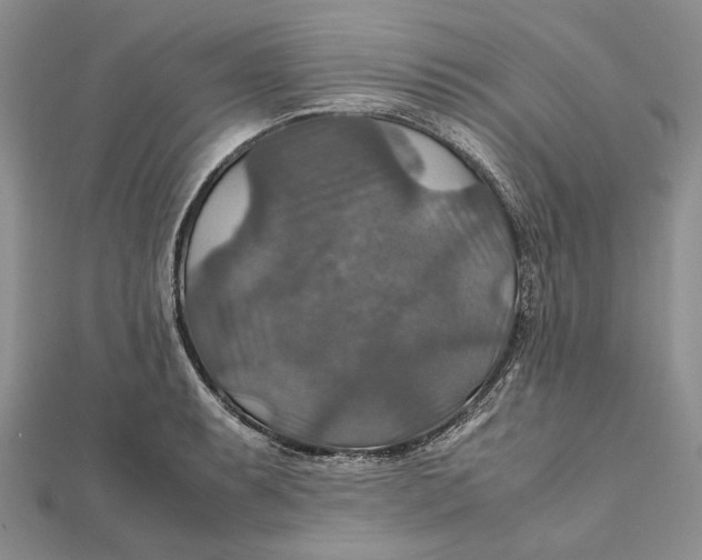 X0000112011087200908241449