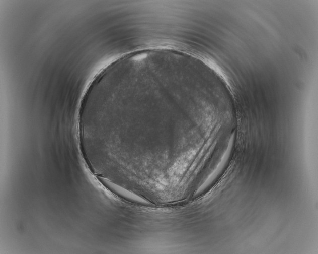 X0000112011088200908241449