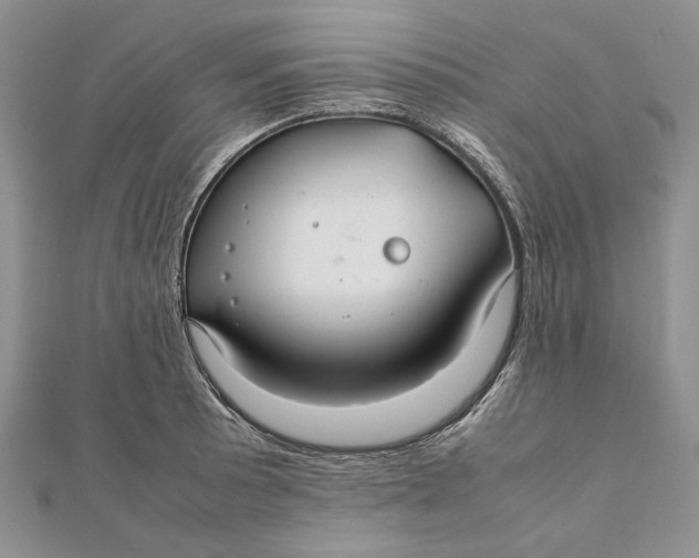 X0000112011089200908241449