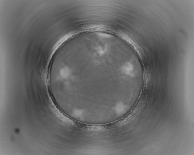 X0000112011090200908241449