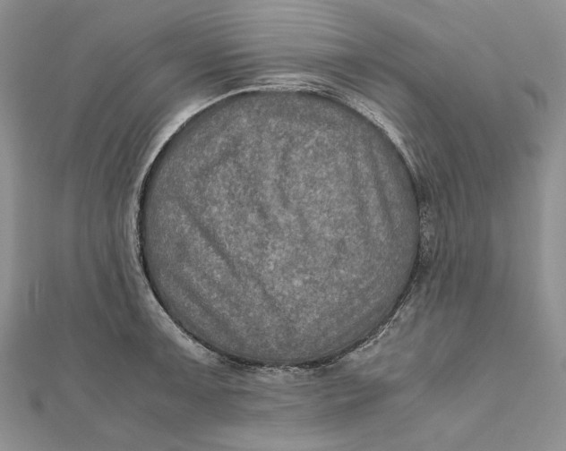 X0000112011091200908241449