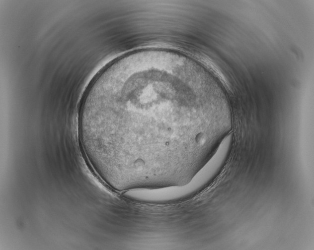 X0000112011092200908241449