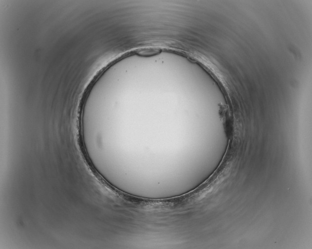 X0000112011093200908241449