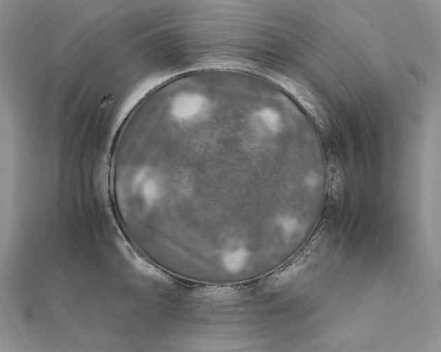 X0000112011094200908241449