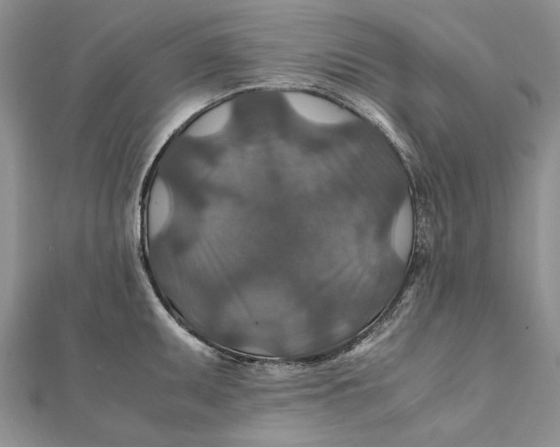 X0000112011095200908241449