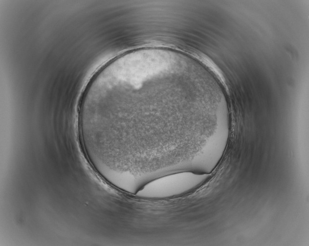 X0000112011096200908241449