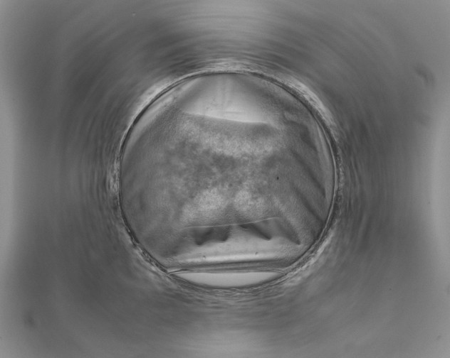 X0000112011097200908241449