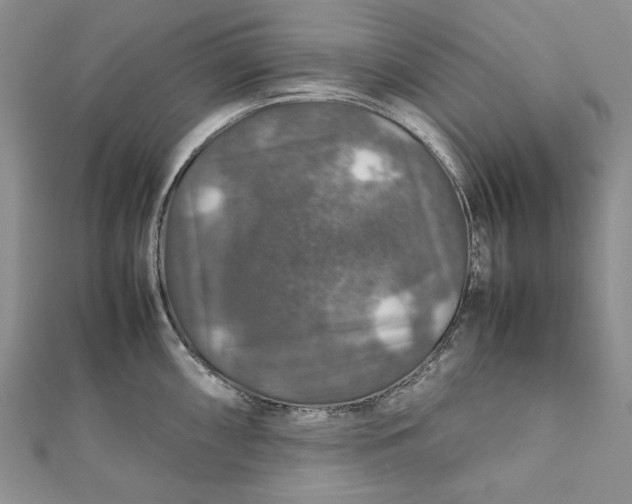 X0000112011098200908241449