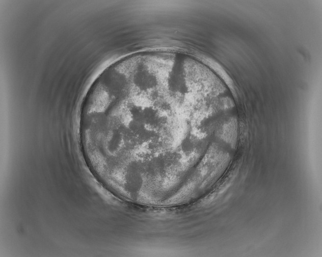 X0000112011099200908241449