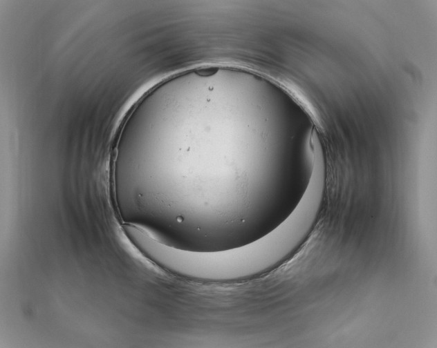 X0000112011100200908241449