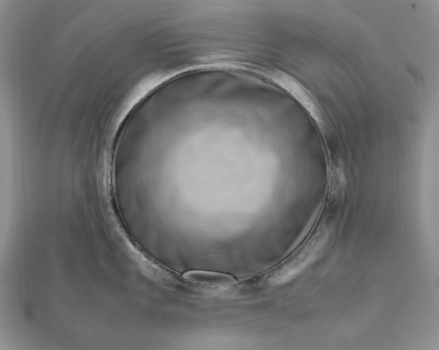 X0000112011101200908241449