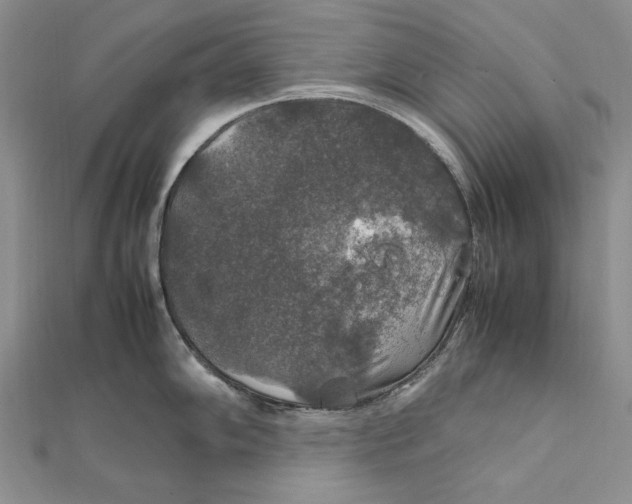 X0000112011102200908241449