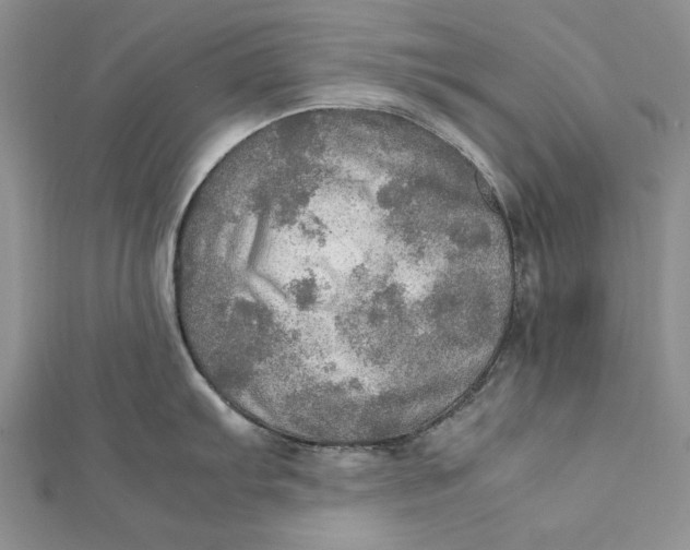 X0000112011103200908241449