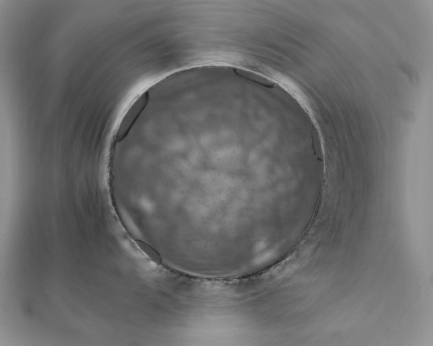 X0000112011104200908241449