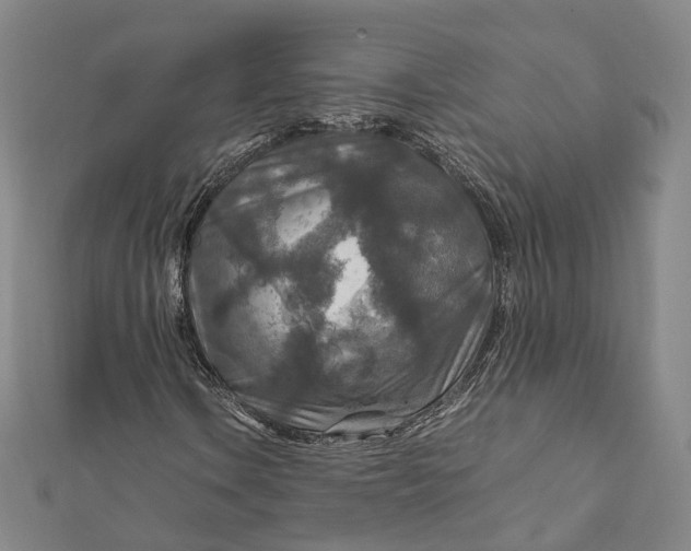 X0000112011106200908241448