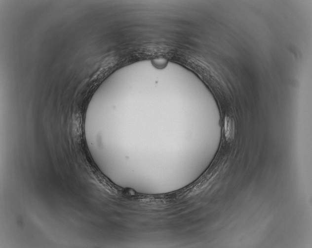 X0000112011107200908241448