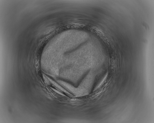 X0000112011109200908241448