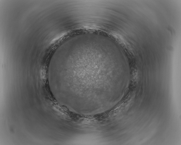 X0000112011110200908241448