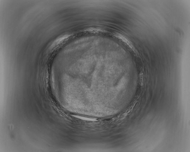 X0000112011111200908241448