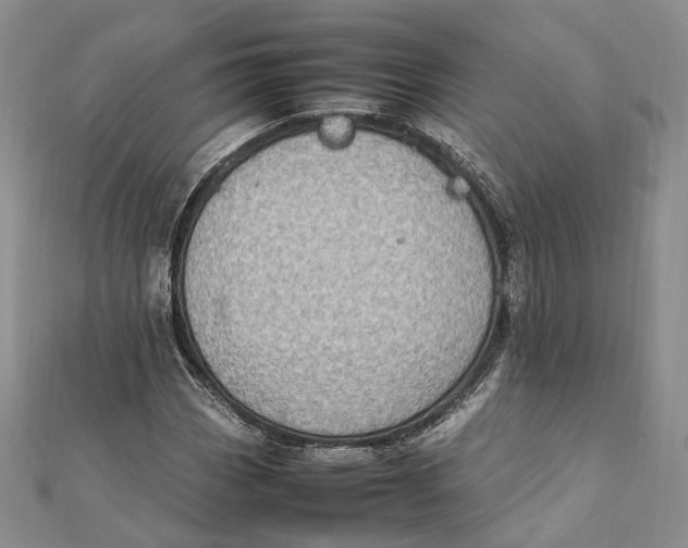 X0000112011113200908241448