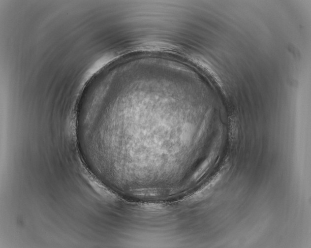 X0000112011114200908241448