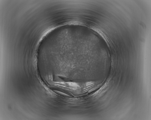 X0000112011115200908241448