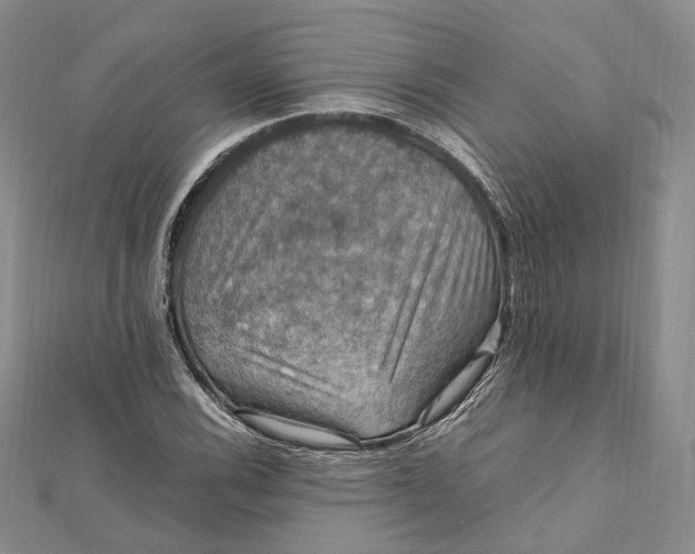 X0000112011116200908241448