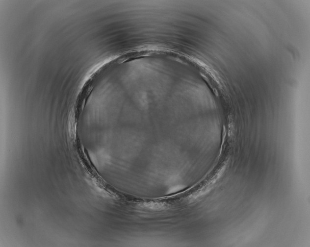 X0000112011117200908241448