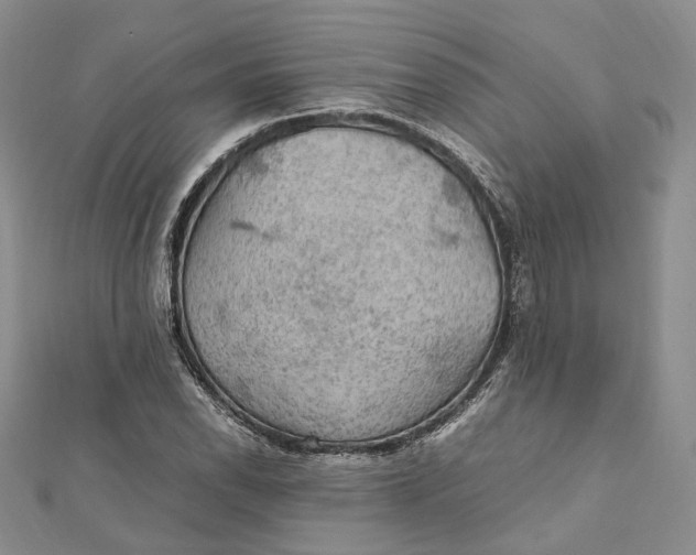 X0000112011118200908241448