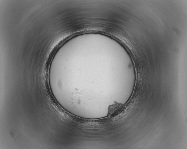 X0000112011119200908241448