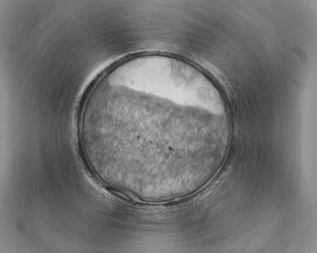 X0000112011120200908241448