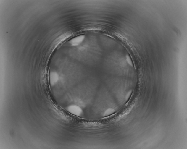 X0000112011121200908241448