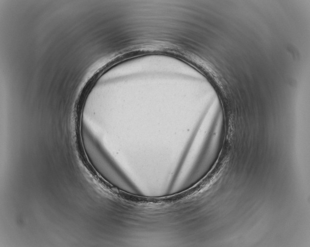 X0000112011122200908241448