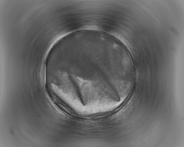 X0000112011123200908241448