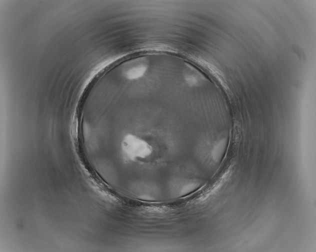 X0000112011125200908241449