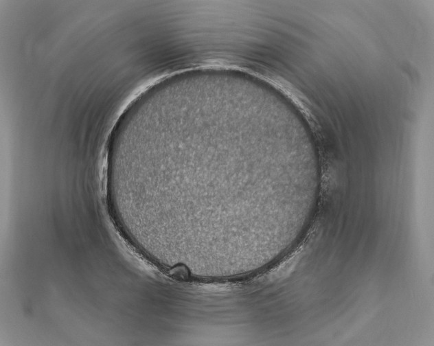 X0000112011126200908241449