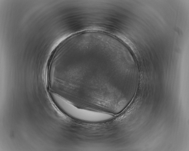 X0000112011127200908241449