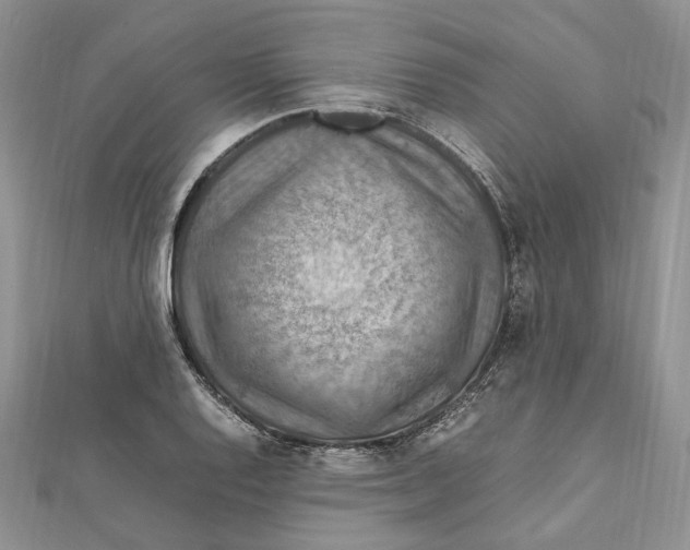 X0000112011128200908241449